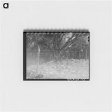 アートメモ帳-Sheep- and Goat-Proof Fence
 - ラッセル リー Memo.