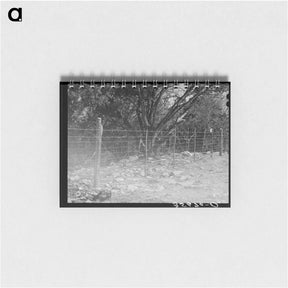 アートメモ帳-Sheep- and Goat-Proof Fence
 - ラッセル リー Memo.