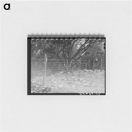 アートメモ帳-Sheep- and Goat-Proof Fence
 - ラッセル リー Memo.
