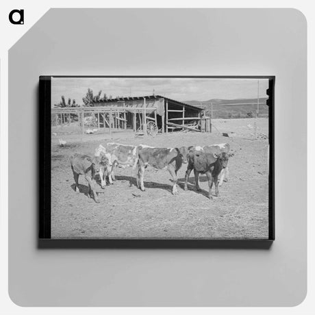 アートパネル-Calves at Dead Ox Flat
 - ラッセル リー Canvas.