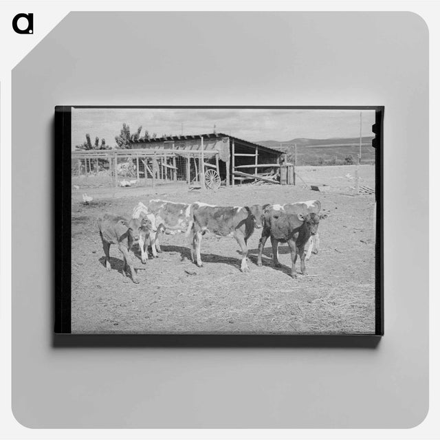 アートパネル-Calves at Dead Ox Flat
 - ラッセル リー Canvas.