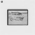 アートメモ帳-Calves at Dead Ox Flat
 - ラッセル リー Memo.
