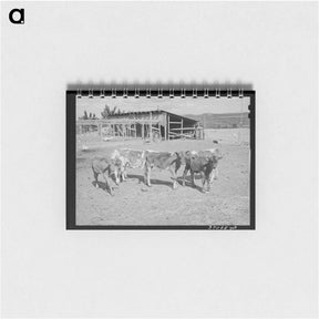 アートメモ帳-Calves at Dead Ox Flat
 - ラッセル リー Memo.