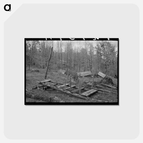 アートポストカード-Timber Sled
 - ラッセル リー Postcard.