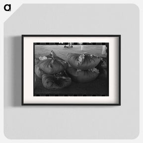 アートポスター-Bundles of Scored Wool
 - ラッセル リー Poster.