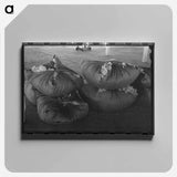 アートパネル-Bundles of Scored Wool
 - ラッセル リー Canvas.