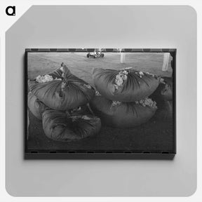 アートパネル-Bundles of Scored Wool
 - ラッセル リー Canvas.