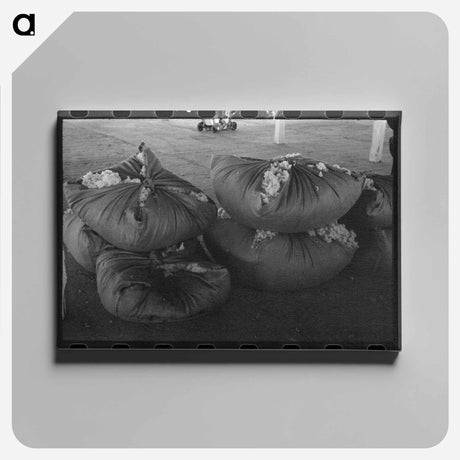 アートパネル-Bundles of Scored Wool
 - ラッセル リー Canvas.