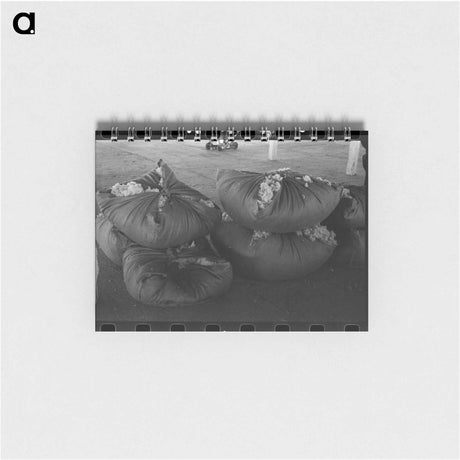 アートメモ帳-Bundles of Scored Wool
 - ラッセル リー Memo.