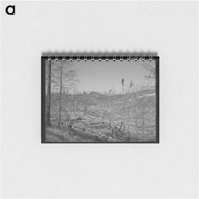 アートメモ帳-Cut-over Forest Land
 - ラッセル リー Memo.