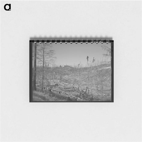 アートメモ帳-Cut-over Forest Land
 - ラッセル リー Memo.