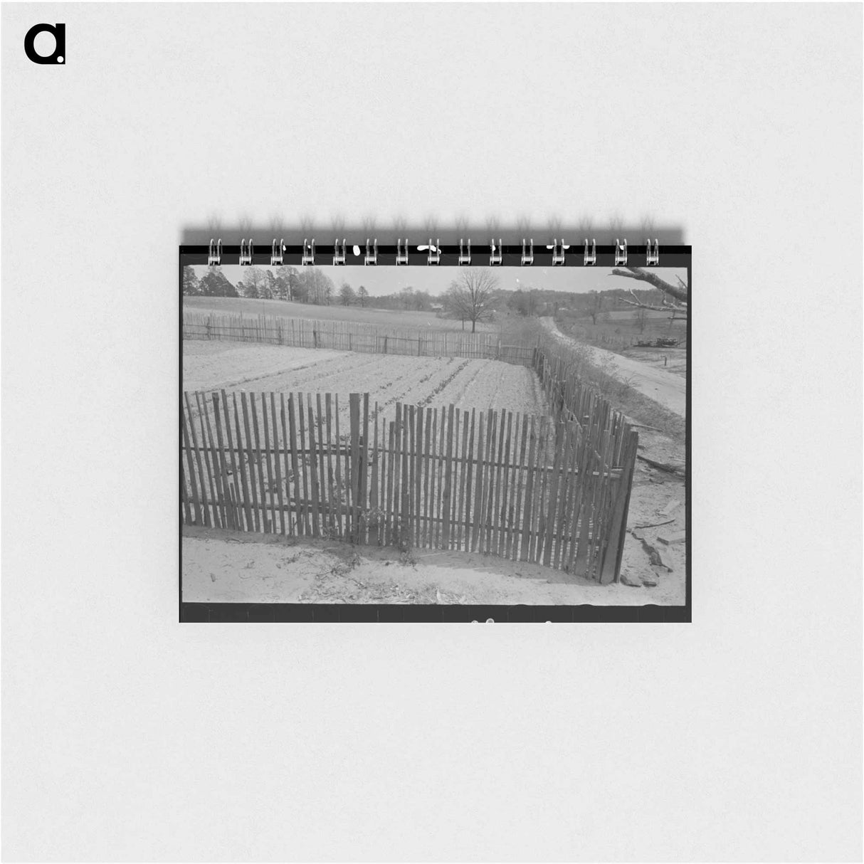 アートメモ帳-Fenced Garden
 - ラッセル リー Memo.