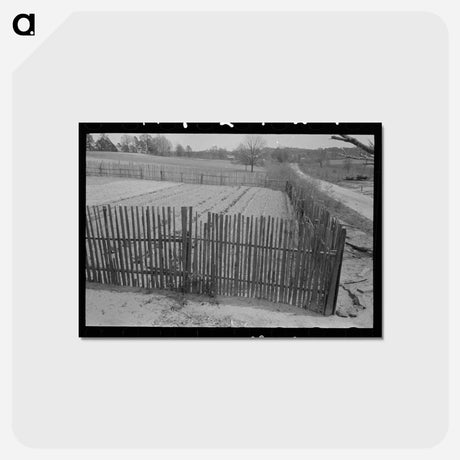 アートポストカード-Fenced Garden
 - ラッセル リー Postcard.