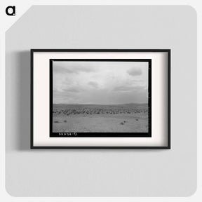 アートポスター-Cattle Roundup Near Marfa
 - ラッセル リー Poster.