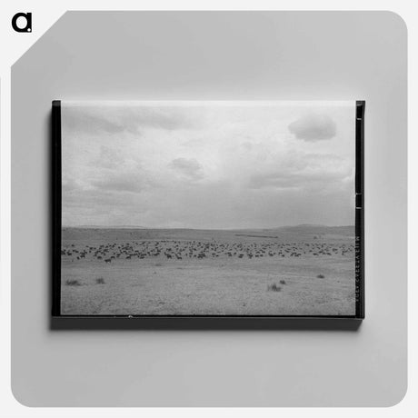 アートパネル-Cattle Roundup Near Marfa
 - ラッセル リー Canvas.
