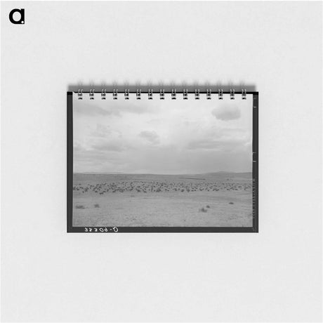 アートメモ帳-Cattle Roundup Near Marfa
 - ラッセル リー Memo.