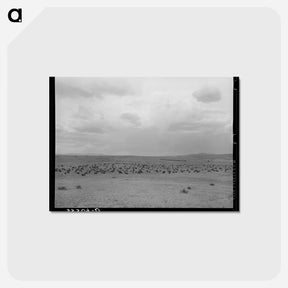アートポストカード-Cattle Roundup Near Marfa
 - ラッセル リー Postcard.