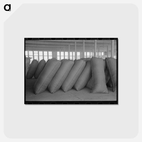 アートポストカード-Wool Sacks, San Marcos
 - ラッセル リー Postcard.