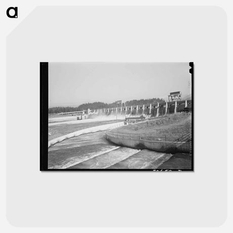 アートポストカード-Fish Ladders and Bonneville Dam
 - ラッセル リー Postcard.