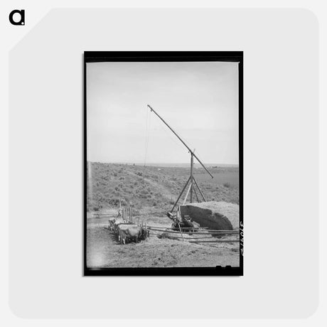 アートポストカード-Nyssa Heights Farm
 - ラッセル リー Postcard.
