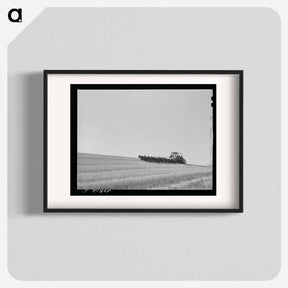 アートポスター-Walla Walla Wheat Harvest
 - ラッセル リー Poster.