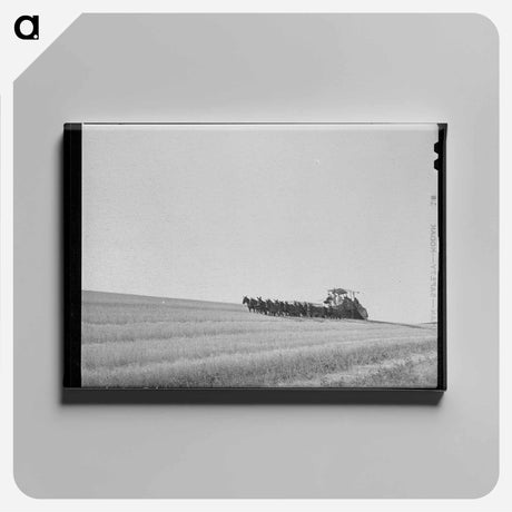 アートパネル-Walla Walla Wheat Harvest
 - ラッセル リー Canvas.