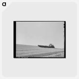 アートポストカード-Walla Walla Wheat Harvest
 - ラッセル リー Postcard.