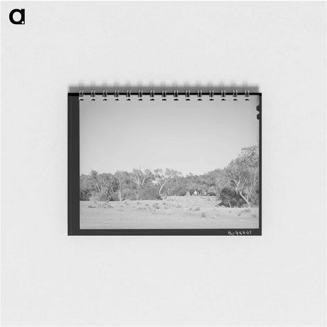 アートメモ帳-Cottonwood Grove, Quemado
 - ラッセル リー Memo.