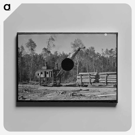 アートパネル-Loading Timber at Effie Camp
 - ラッセル リー Canvas.