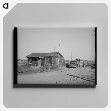 アートパネル-House and Shed, Bull Tract
 - ラッセル リー Canvas.