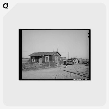 アートポストカード-House and Shed, Bull Tract
 - ラッセル リー Postcard.