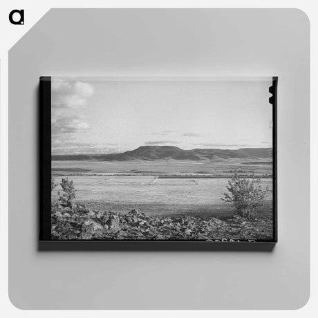 アートパネル-Valley of the Little Colorado River
 - ラッセル リー Canvas.