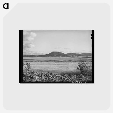 アートポストカード-Valley of the Little Colorado River
 - ラッセル リー Postcard.