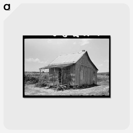 アートポストカード-Agricultural Day Laborers' Home
 - ラッセル リー Postcard.
