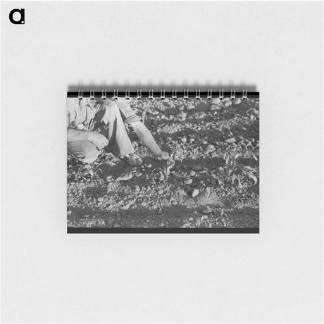 アートメモ帳-Corn and Farmer, Pie Town
 - ラッセル リー Memo.