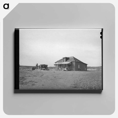 アートパネル-Farmstead, Concho, Arizona
 - ラッセル リー Canvas.