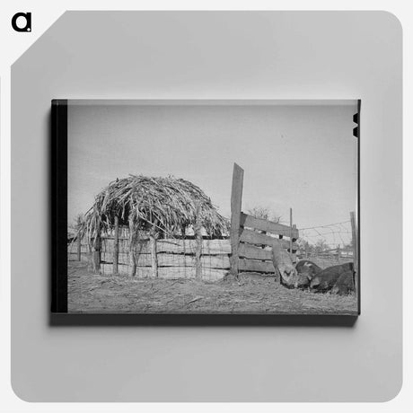 アートパネル-Hog Pen, Creek County
 - ラッセル リー Canvas.