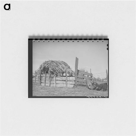 アートメモ帳-Hog Pen, Creek County
 - ラッセル リー Memo.