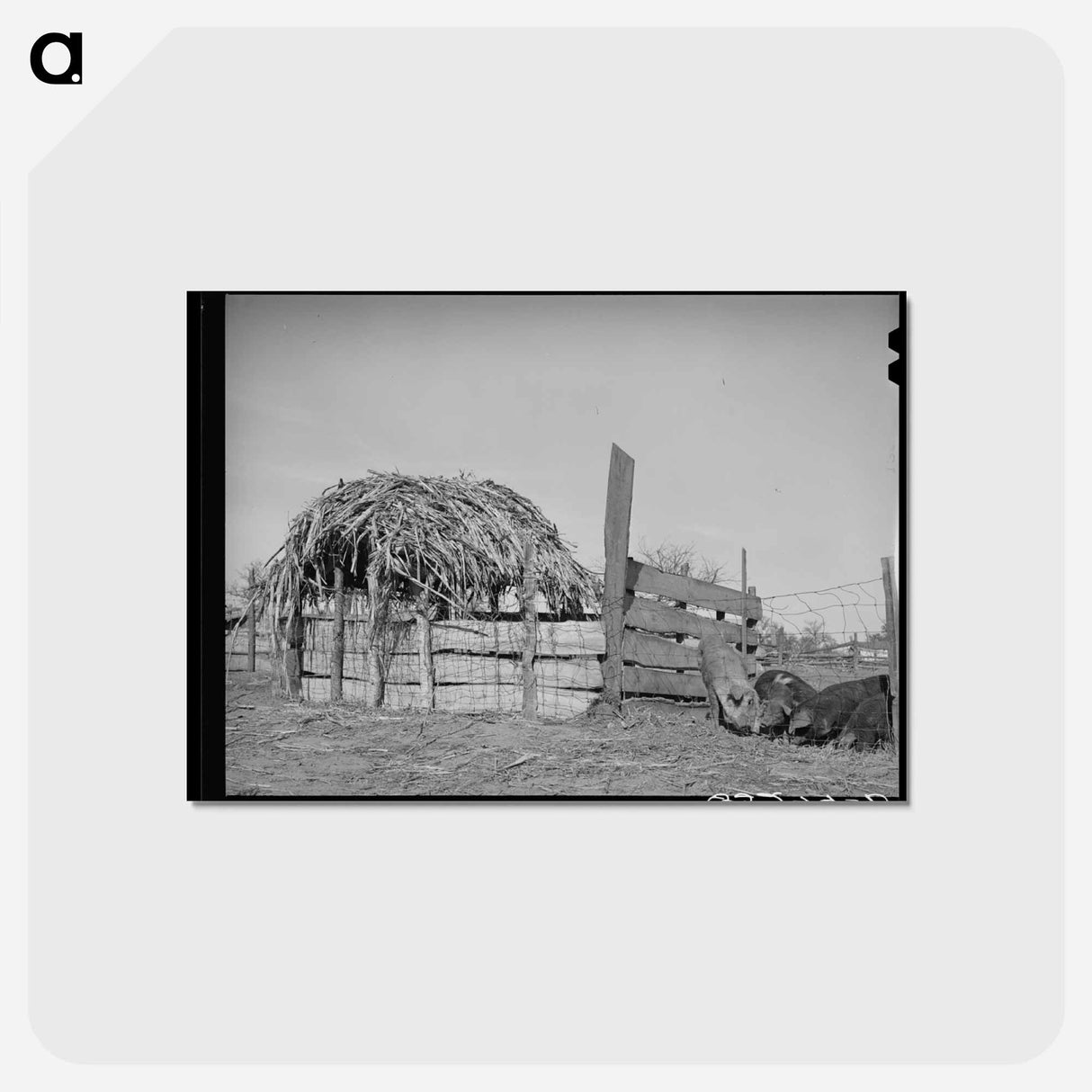 アートポストカード-Hog Pen, Creek County
 - ラッセル リー Postcard.