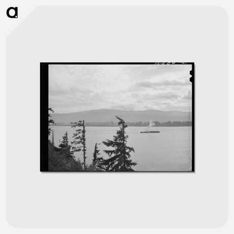 アートポストカード-Barge on Columbia River
 - ラッセル リー Postcard.