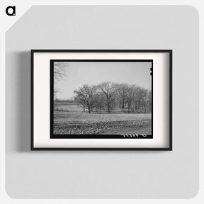 アートポスター-Landscape. McIntosh County, Oklahoma
 - ラッセル リー Poster.