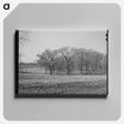 アートパネル-Landscape. McIntosh County, Oklahoma
 - ラッセル リー Canvas.
