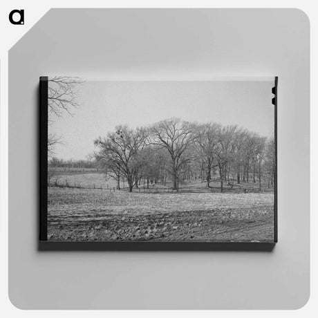 アートパネル-Landscape. McIntosh County, Oklahoma
 - ラッセル リー Canvas.