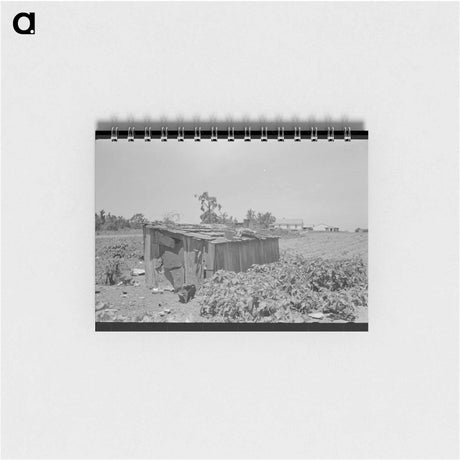 アートメモ帳-Tool Shed of a Sharecropper
 - ラッセル リー Memo.