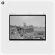 アートポストカード-Tool Shed of a Sharecropper
 - ラッセル リー Postcard.