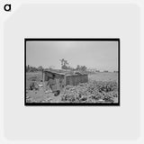 アートポストカード-Tool Shed of a Sharecropper
 - ラッセル リー Postcard.