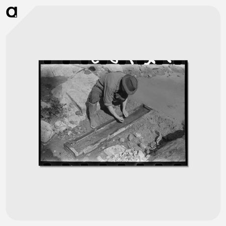 アートポストカード-Prospector Working the Sluice Box, Pinos Altos, New Mexico
 - ラッセル リー Postcard.