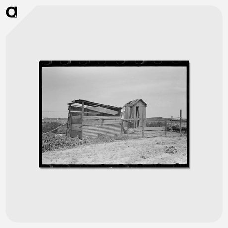 アートポストカード-Old Henhouse and Privy
 - ラッセル リー Postcard.