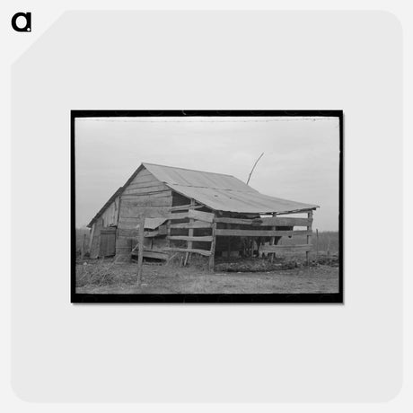 アートポストカード-Barn of Sharecropper
 - ラッセル リー Postcard.