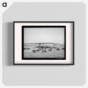アートポスター-Hogs at Casa Grande Valley Farms
 - ラッセル リー Poster.